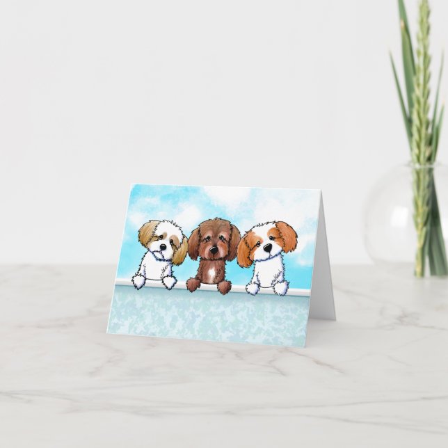 Shih Tzu Trio Merci (Devant)