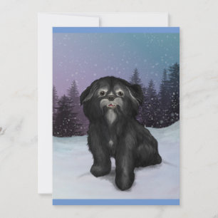 Shih-Tzu Winter : Carte de voeux!