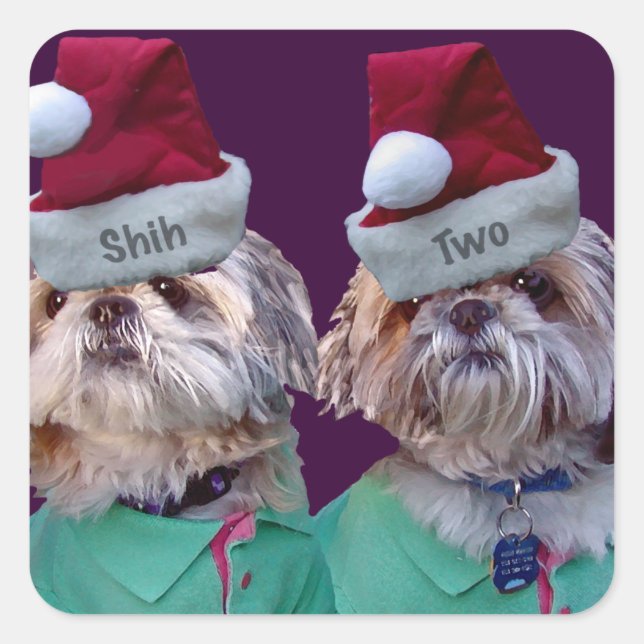 Shih Tzues Shih Two Sticker de Noël (Devant)