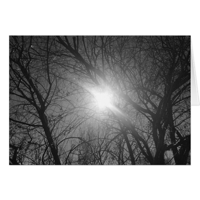 Shine Through - noir, carte (Devant horizontal)