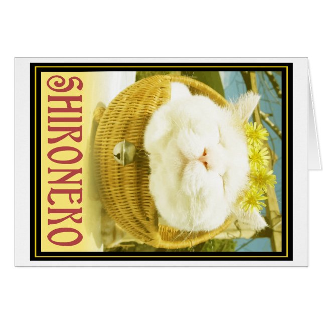 Shironeko ou chat de panier (Devant horizontal)