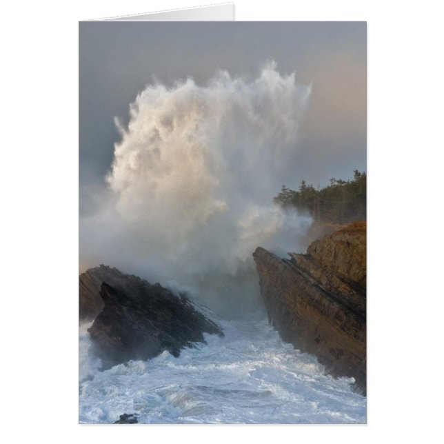 Shore Acres State Park, Charleston, Oregon (Devant)