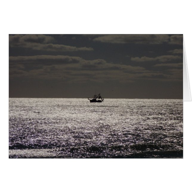 Shrimp'n allé (Devant Horizontal)