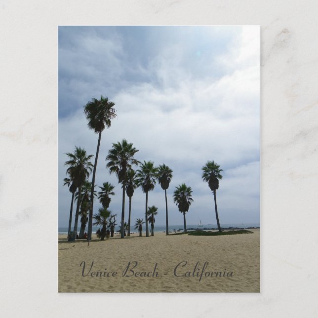Si Belle Carte Postale Venice Beach ! (Devant)