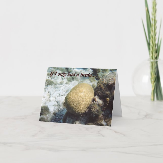 Si je n'avais qu'un cerveau - je suis désolé carte (Devant)