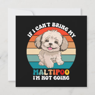 Si je ne peux pas amener mon chien Maltipoo, je ne