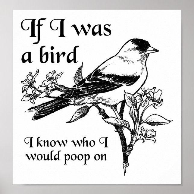 Si j'étais un oiseau drôle Poster (Devant)