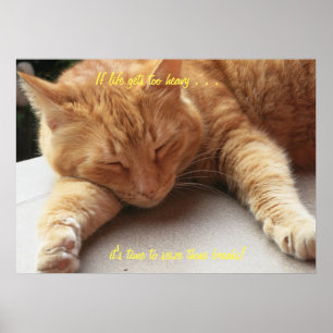 Si la vie devient trop lourde Poster de chat