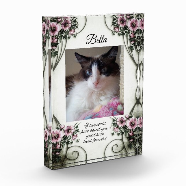 Si l'amour aurait pu vous sauver... bloc photo (Gauche)