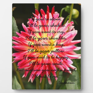 Si vous êtes seul... Plaque