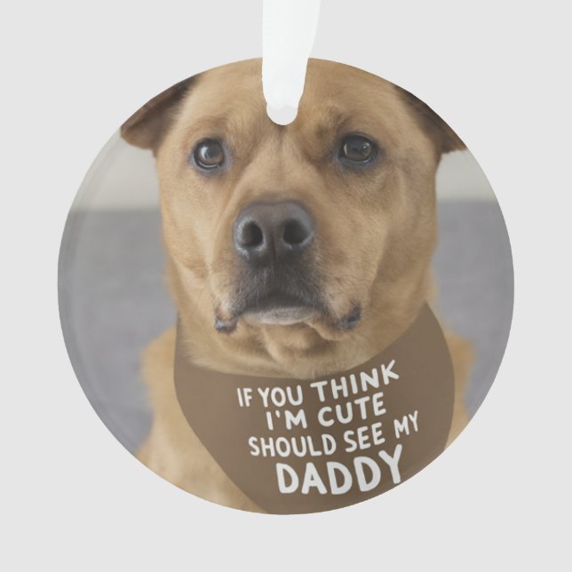 Si vous pensez que je suis mignon, vous devriez vo (devant)