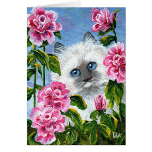 Siamese Burmese Ragdoll Cat Roses Creationarts