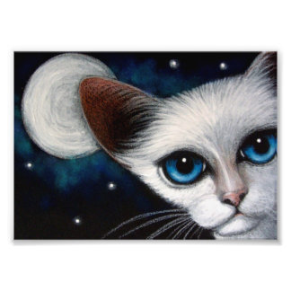 SIAMESE CAT 7" x 5", Kodak Photo Paper (Satin) 