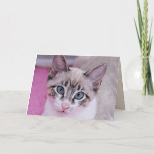 SIAMESE CAT KITTEN ANNIVERSAIRE Carte de voeux