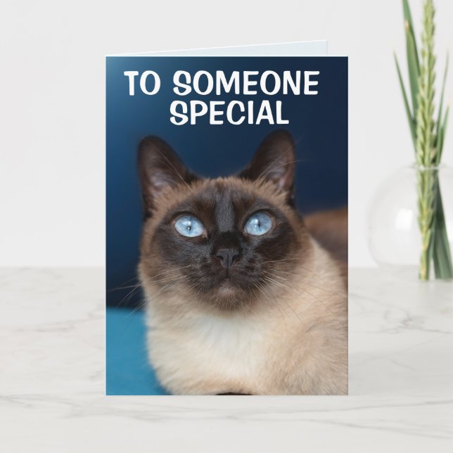 SIAMESE CHAT QUELQU'UN CARTE D'ANNIVERSAIRE SPÉCIA (Devant)