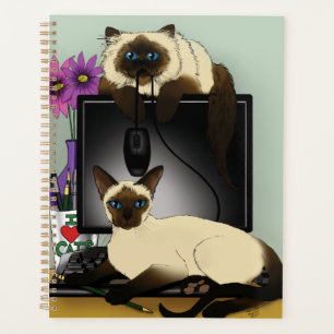 Siamese Computer Cats mal