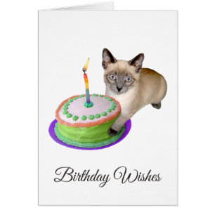 Siamese Kitten avec carte d'anniversaire de gâteau