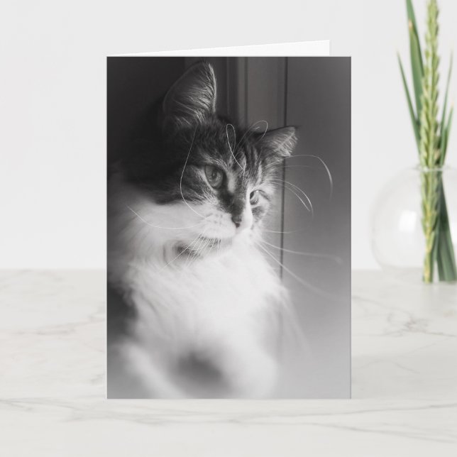 Sibérie Chat Penser de vous carte (Devant)