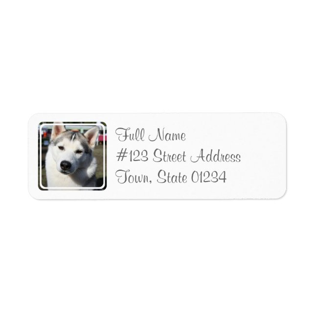 Sibérie Husky Chien Étiquette (Devant)