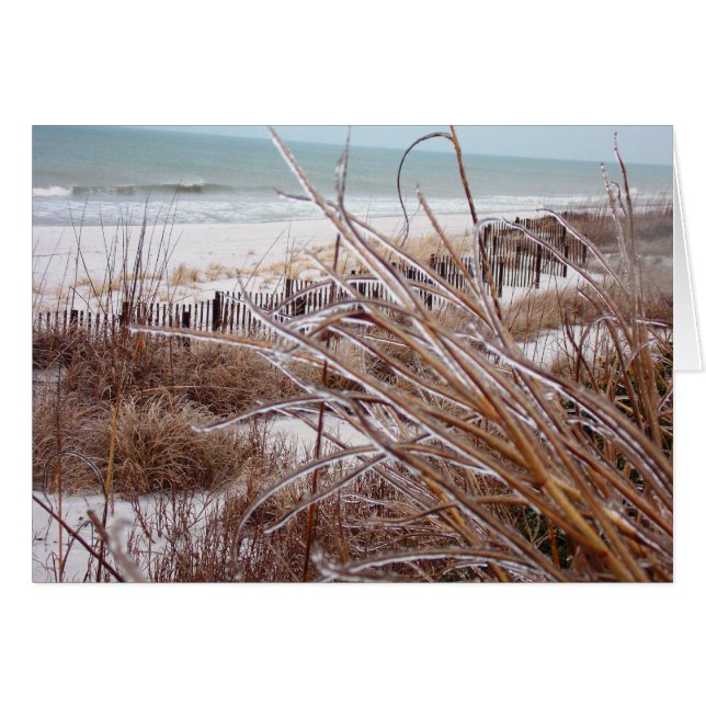 Sicle dune (Devant horizontal)