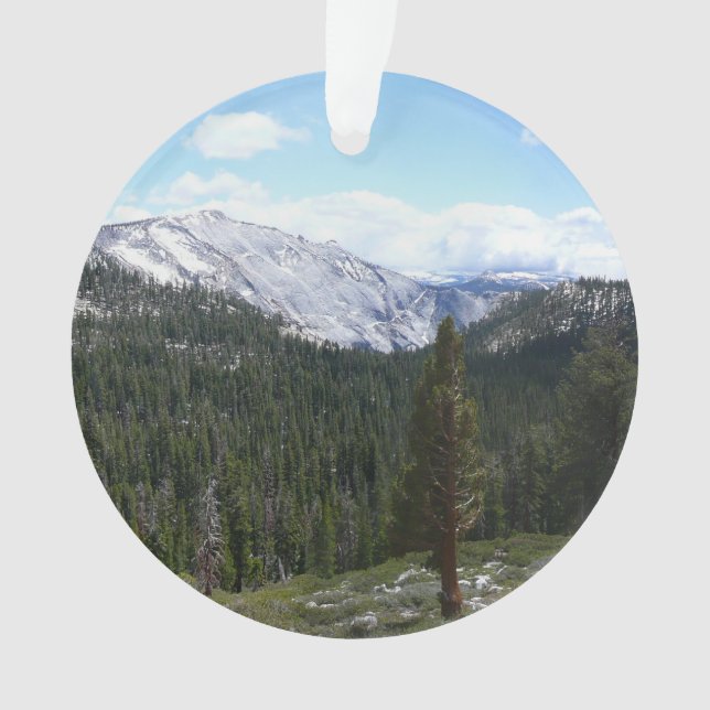 Sierra Nevada Mountains II de Yosemite (devant)