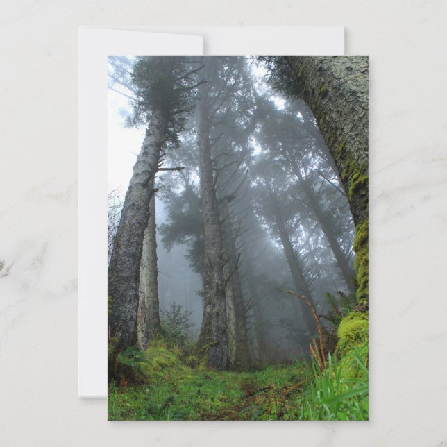 Signature : Matte 5" x 7", enveloppes blanches sta (Devant)