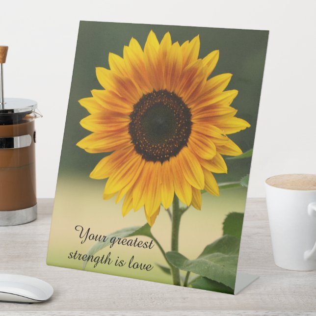 Signe de sobriété de tournesol (In SItu)