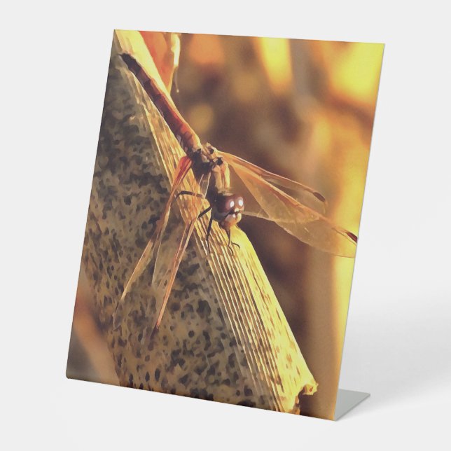 Signe De Table 534424932Elegant Red Darter Dragonfly Insect Art (Recto)