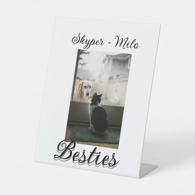 Signe De Table Animaux de compagnie amis besties ajouter nom anim (Recto)