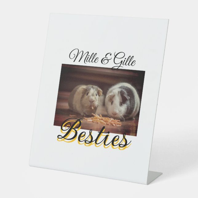 Signe De Table Animaux de compagnie amis besties ajouter nom anim (Recto)