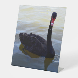 Signe De Table Baignade De Cygne Noir Sur La Rivière,