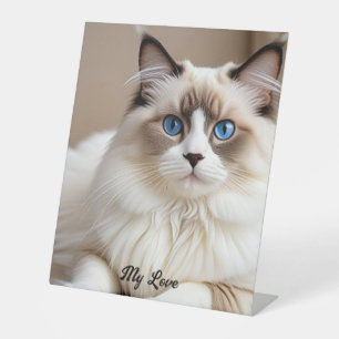 Signe De Table Bannière de chat mignon personnalisable