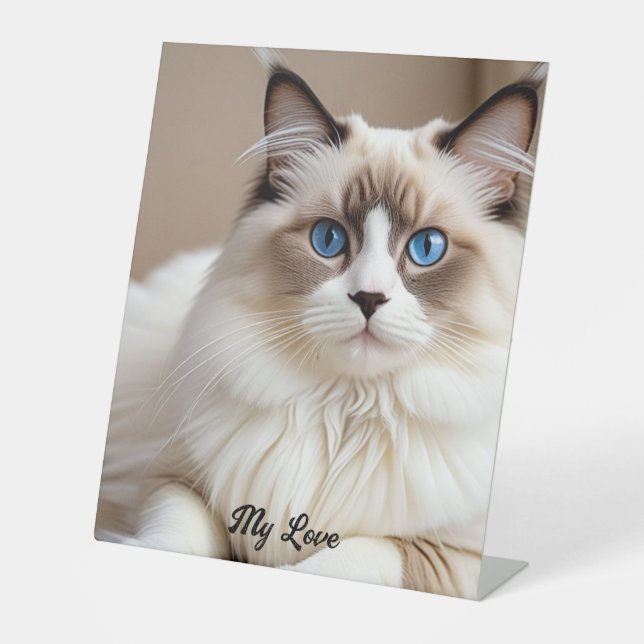 Signe De Table Bannière de chat mignon personnalisable (Recto)