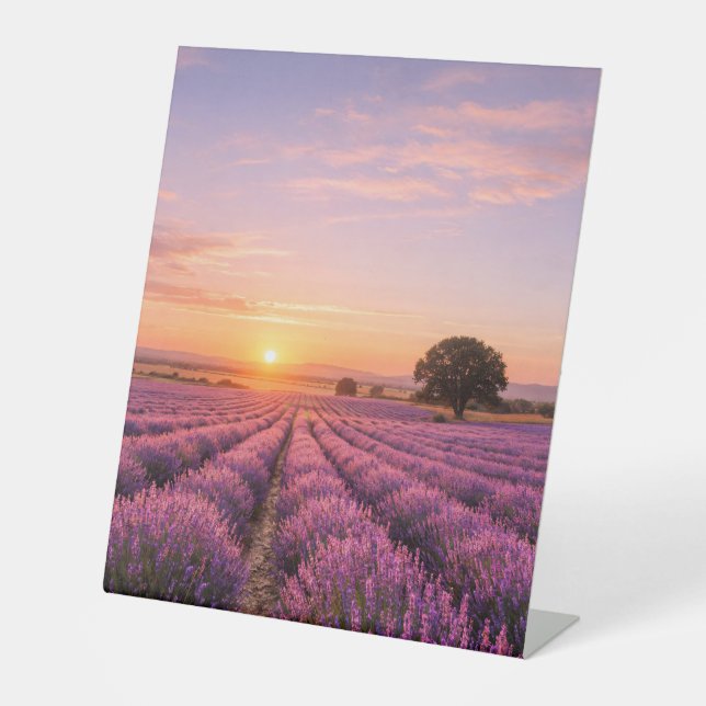 Signe De Table Champ de lavande en fleurs au coucher de soleil do (Recto)
