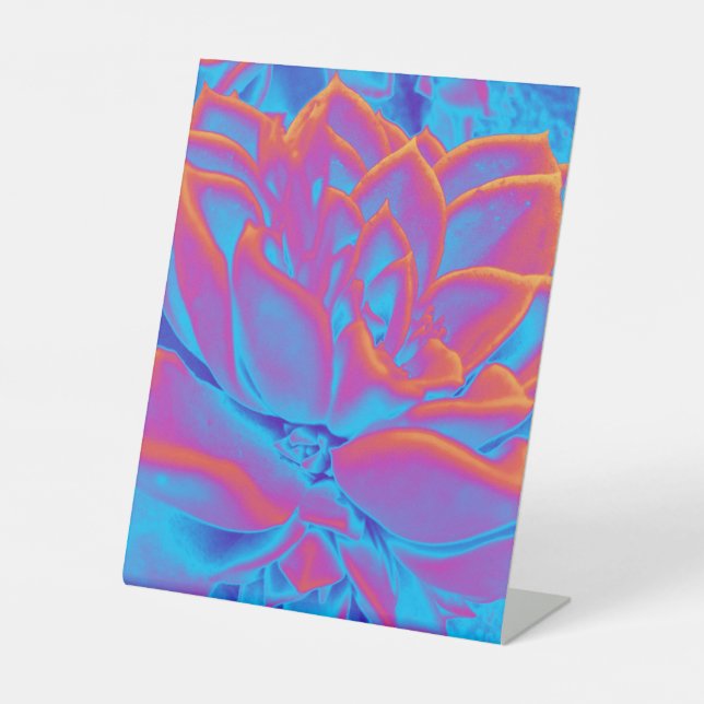 Signe De Table Couleur arc-en-ciel plante Succulent (Recto)