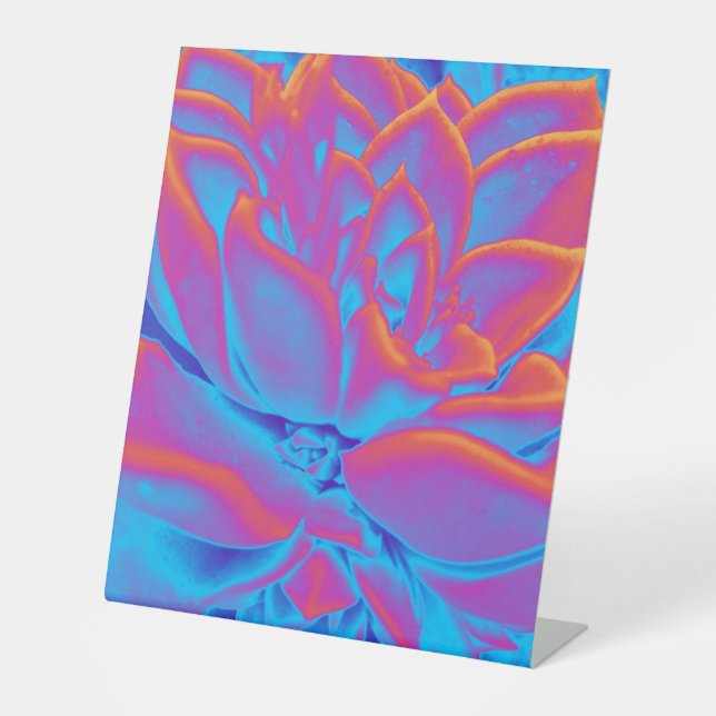 Signe De Table Couleur arc-en-ciel plante Succulent (Recto)