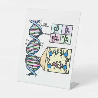 Signe De Table Diagramme d'ADN