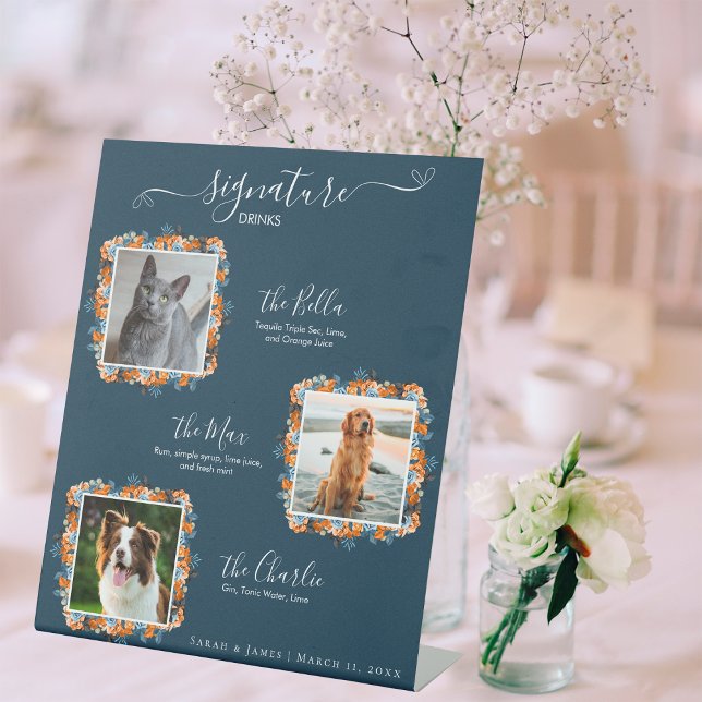 Signe De Table Elégant Marine Et Rouille 3 Photo Pet Signature Bo (Créateur téléchargé)