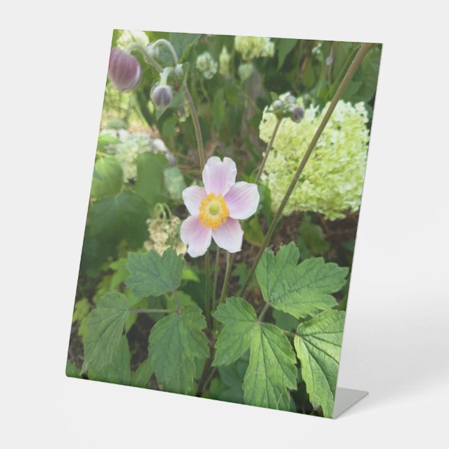 Signe De Table Enseigne de table Fleur sauvage rose | Fleur botan (Recto)