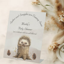 Fête de Naissance Adorable Bébé Hérisson Mignon