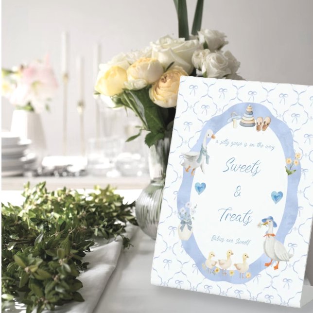 Signe De Table Fête de naissance Garçon Silly Goose Arc-en-ciel (Créateur téléchargé)