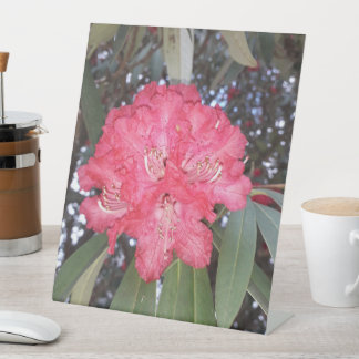 Signe De Table Fleur d'arbre rouge