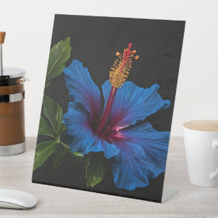 Signe De Table Fleur d'Hibiscus Bleu Florant,