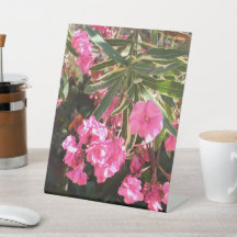 Fleurs roses sur l'arbre