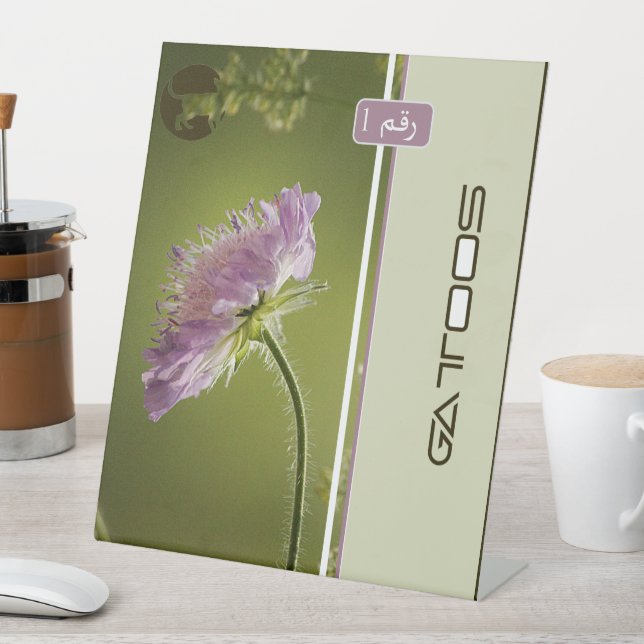 SIGNE DE TABLE GATTOOS (In SItu)