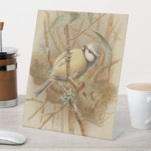 Signe De Table Illustration vintage de mésange bleue