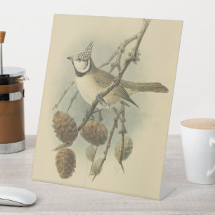 Signe De Table Illustration vintage de mésange huppée d'Europe