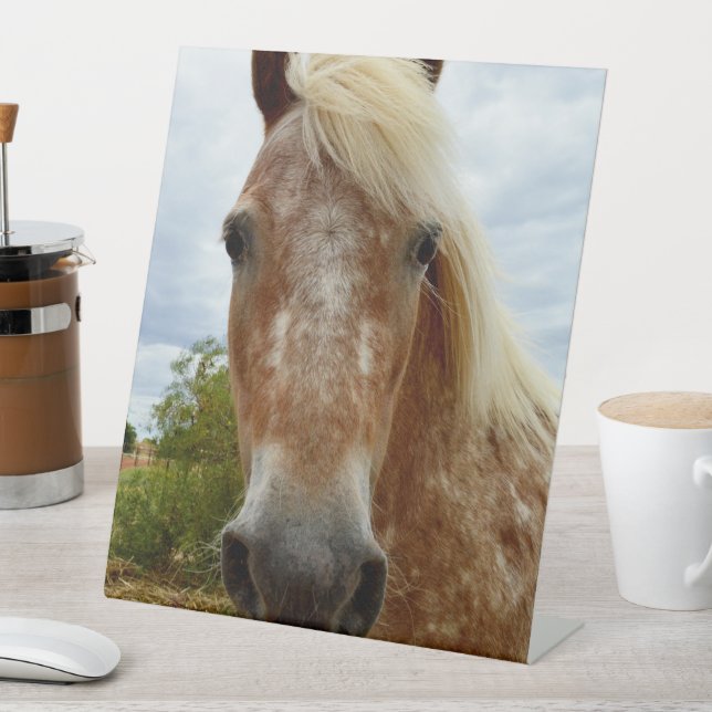 Signe De Table "Le sucre : la grâce de l'Appaloosa" (In SItu)