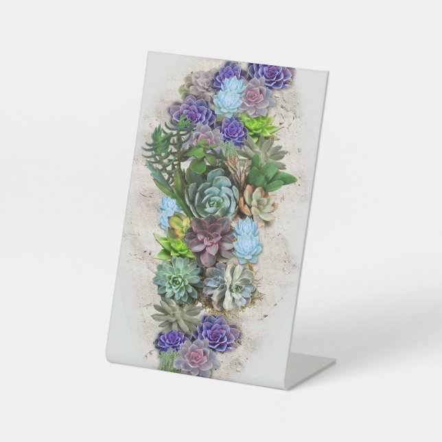 Signe De Table Les succulents de l'Afrique du Sud (Recto)