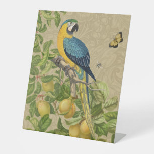 Signe De Table Macaw Blue Jaune Tropical Jungle Antique